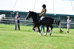 SBM_07913