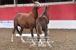 JAC_5784