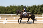 SBM_002817