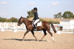 SBM_01874