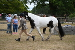 WJ6_8382