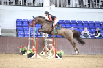 SBM_001801