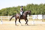 SBM_005545