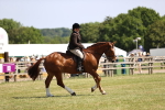 SBM_17751