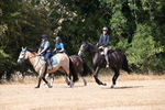 WJ6_9039