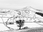 Shutlingsloe under snow (12)