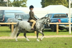 SBM_69781