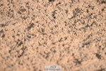 240224A-101311-03163