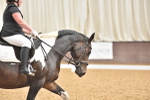 SBM_011286