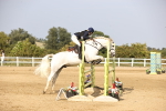 SBM_03872