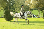 SBM_62406
