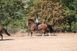 WJ6_7572