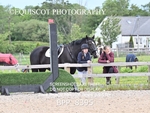 BPP_8395