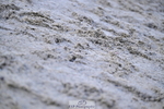 260207A-163453-01239