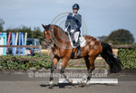 Dressage_29-09-2018-5
