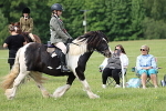 IMG_2425