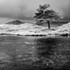 Kelly Hall Tarn 05
