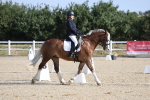 SBM_020250
