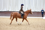 SBM_001033