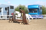 SBM_14555