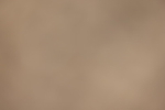 20260523-0065