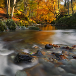 Shimna Colour
