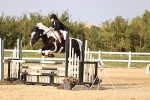 SBM_03856