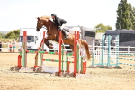 SBM_000738