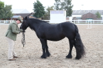 SBM_23302