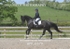 BPP_6579