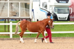 SBM_10163