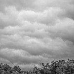 week 36