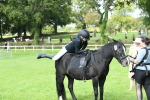 SBM_46848