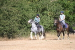 WJ6_7778