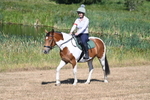 WJ7_7433