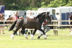 SBM_02312
