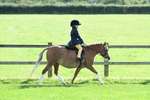 SBM_50266