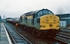 23rd March 1996