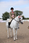 Class 308 Ridden Coloured Horse portfolio