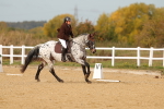 SBM_010432