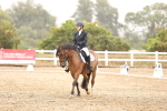 SBM_000964