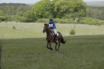 BVHT 140517  IXC -428