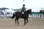 SBM_16531
