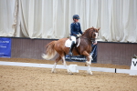 SBM_000785