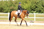 SBM_002979