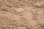 240720A-100956-13577