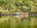 Iron Cross in Loch Ard (2)