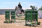 BPP_1645