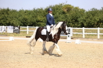 SBM_003737