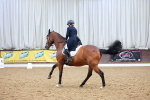 SBM_002337
